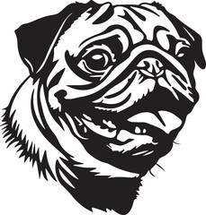 pug dog funny face