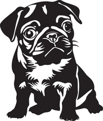pug puppy portrait