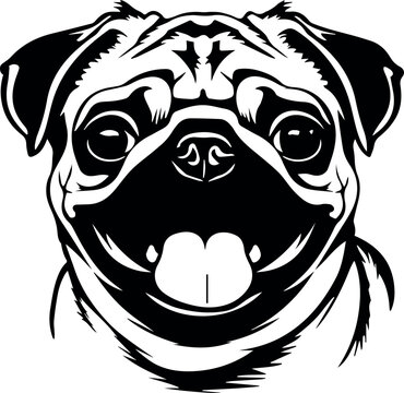 cute pug dog face