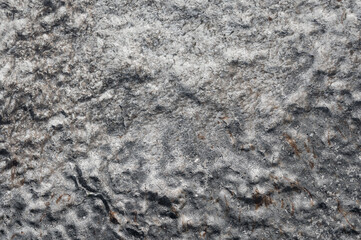 background, roccia, sfondo pietra superficie dura con dettagli di alghe marine secche 