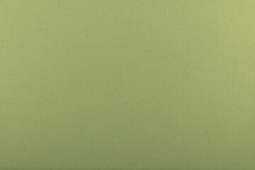 Fond uni pour création d'arrière plan de couleur vert kaki.