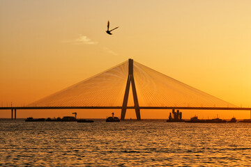 Fototapeta na wymiar Close up of cable stayed span of Bandra Worli Sea Link Mumbai at sunset with a bird flying in foreground