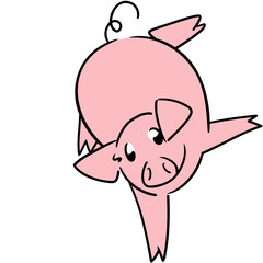 Cute and funny little pig posing do handstand very happy smiling