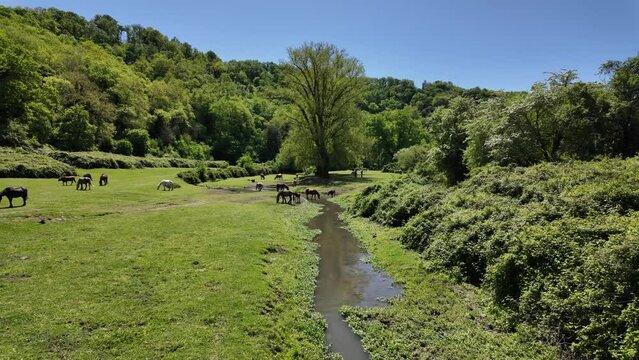 Beautiful scene in the Veio Regional Park, near Formello, Province of Rome, Lazio, Italy.