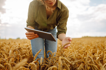 Naklejka na ściany i meble Digital tablet in the hands of a young farmer. Modern digital technologies. Agronomist at the farm. Business Farm.
