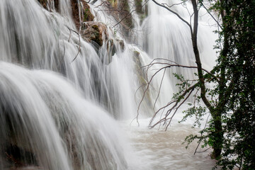 Wonderful waterfall near tree