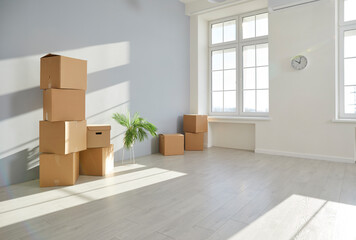 Interior of clean modern light living room with stacked cardboard boxes and green plant standing by...