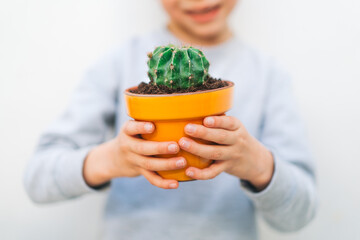 Niño pequeño sostiene un cactus en maceta amarilla 