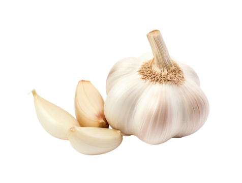 A whole garlic bulb with individual cloves peeled open, displayed on a transparent background. Generative AI
