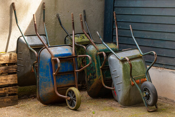 wheelbarrows in a backyard in spring