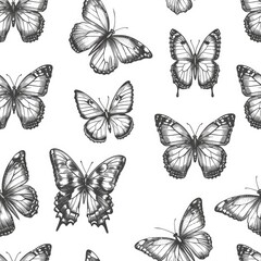 A group of vibrant butterflies on a plain white backdrop. Ideal for design projects and nature-themed concepts