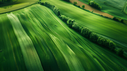 Сalming bird's eye view of  pattern on green fields