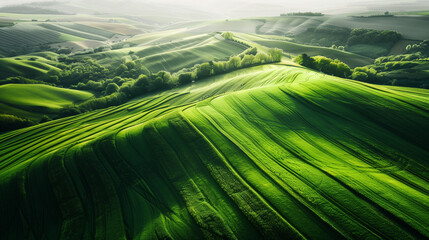 Obraz premium Сalming bird's eye view of pattern on green fields
