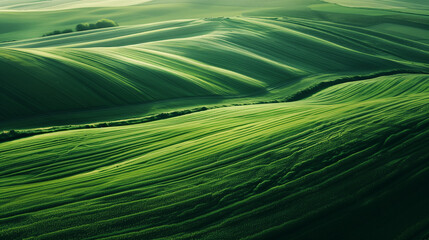 Obraz premium Сalming bird's eye view of pattern on green fields