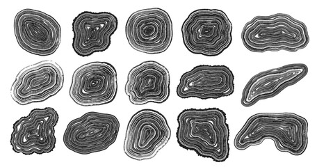 Set of tree stump prints isolated on white. Wooden silhouette. Wood texture with concentric rings. Collection of black and white wooden annual rings textures. Tree ring pattern. Wood in cross section © Morena