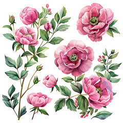 Watercolor flower Pink roses, peonies, floral garden Bouquetswedding digital wildflower green leaves herbs Lisima Seamless Pattern,Digital,Paper,Seamless,Background,Design,Clipart,Printable