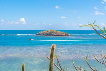 L'îlet Boisseau, ile déserte en Martinique, Antilles Françaises.
