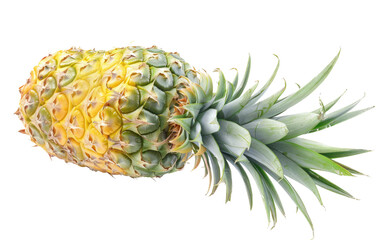 Vibrant Pineapple Delight, Juicy Pineapple, Food on white background.