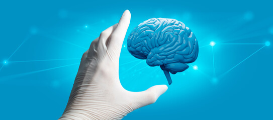 doctor hand holding or touching human brain in healthcare hospital concept, neuron cell of...