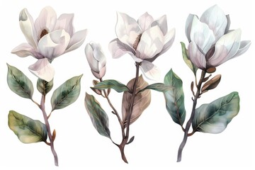 Obraz premium Vibrant painting of three flowers, perfect for home decor