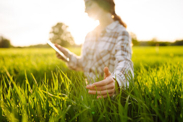 Young female farmer in green field with tablet. Modern digital technologies. Agronomist at the...