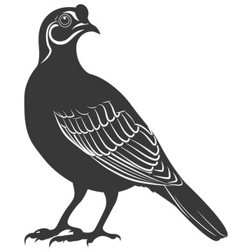 recommend clip art: silhouette quail animal black color only full body