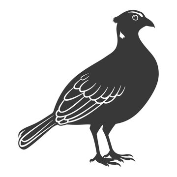 recommend clip art: silhouette quail animal black color only full body