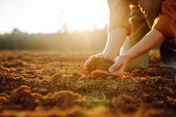 Hand of expert farmer collect soil and checking soil health before growth a seed of vegetable or...