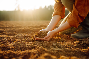 Hand of expert farmer collect soil and checking soil health before growth a seed of vegetable or plant seedling. Business or ecology.