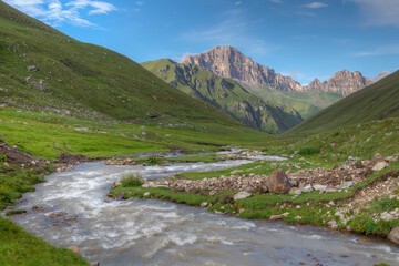 Alpine meadows and mountain river in a mountain valley.