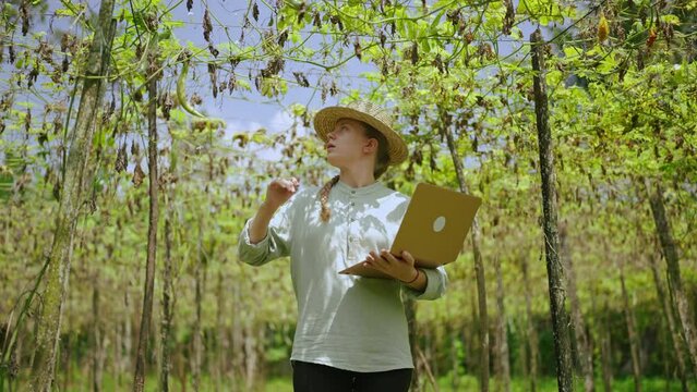 Female agronomist with laptop examines vegetable harvest on farm. Young woman farmer checking green bottle gouds enters the data into computer. Modern agribusiness concept. Harvest loss.