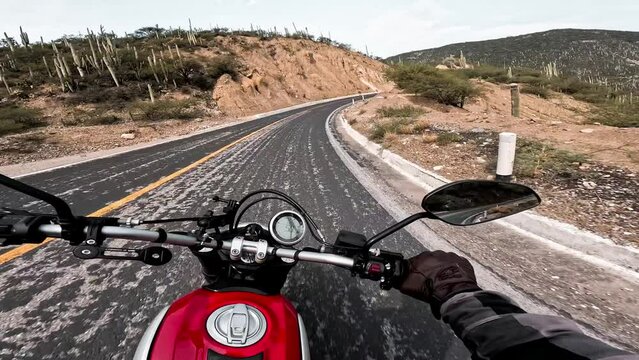 Motociclista manejando en carretera , disfrutando del paisaje.