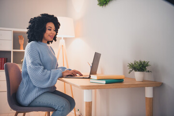 Portrait of pretty young lady wear sweater use laptop desk coworking home office indoors