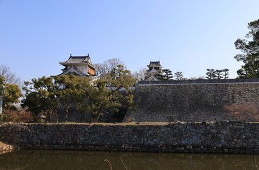 A Japanese castle : a scene of the donjon of Okayama-jyo castle in Okayama City in Okayama Prefecture : 日本の城：岡山県岡山市にある岡山城の天守閣の風景