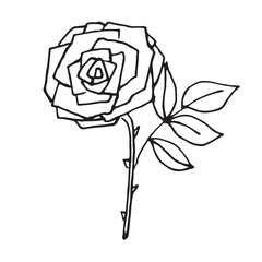 Vector simple minimalistic doodle line art of black and white rose flower with lots of petals and leaves