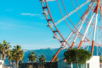 View of the Ferris wheel attraction against a background of blue sky between palm trees. Ferris...