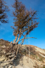 Extreme swing on edge of high mountain with view of mountains