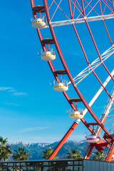View of the Ferris wheel attraction against a background of blue sky between palm trees. Ferris...