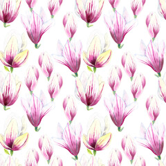 Seamless pattern of watercolor Magnolia pink blooming flowers. Botanical hand painted floral elements. Hand drawn illustration. On white background. For fabric, wrapping paper, wallpaper print decor
