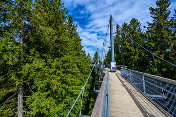 View of the tree top path and trail in beautiful mountain scenery - Skywalk in Alps - Travel...