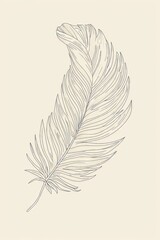 A simple line drawing of a feather.