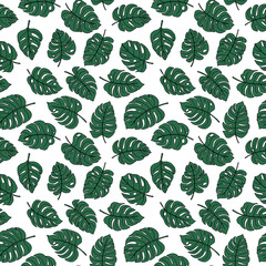 Line art doodle hand drawn black lined green monstera plant leaves as summer botanical seamless pattern on white background.Print fabric, cards, invitations