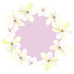 Magnolia blooming flowers border wreath pink. Watercolour flower round decor hand drawn illustration. Seasonal. Painted botanical floral elements. Isolated on white background. Greeting cards