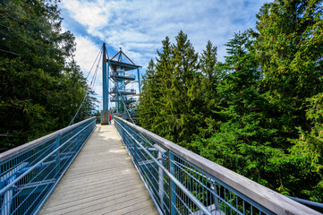 View of the tree top path and trail in beautiful mountain scenery - Skywalk in Alps - Travel...