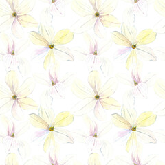 Seamless pattern of watercolor white Magnolia blooming flowers. Hand drawn illustration. Botanical hand painted floral elements. On white  background. For print decoration, fabric, wallpaper wrapping