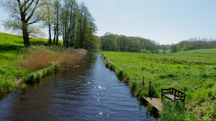 Auenlandschaft