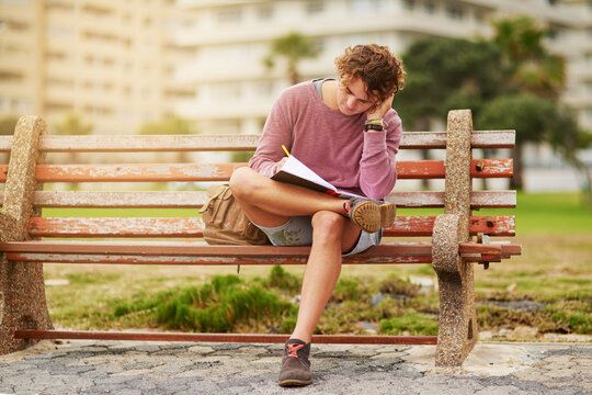 Notebook, nature and man on bench writing for college test, research and assignment studying. Reading, information and male student preparing for university exam on wooden seat in outdoor park.