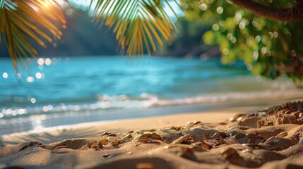 Serene Tropical Beach View with Palm Branch Overhang and Sparkling Sand