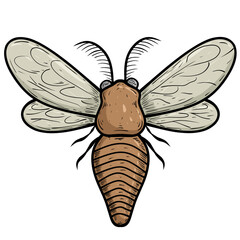 illustration of moth