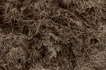 Horse manure Horse droppings dung  in a field